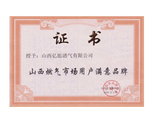 山西燃气市场用户满意品牌